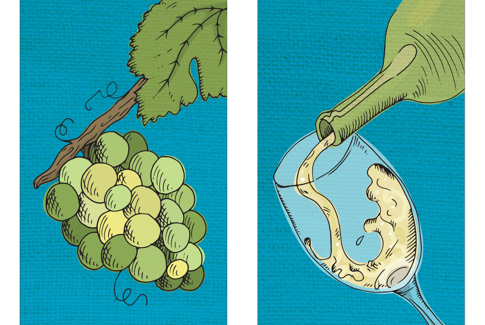 Restaurants Australia wine illustration