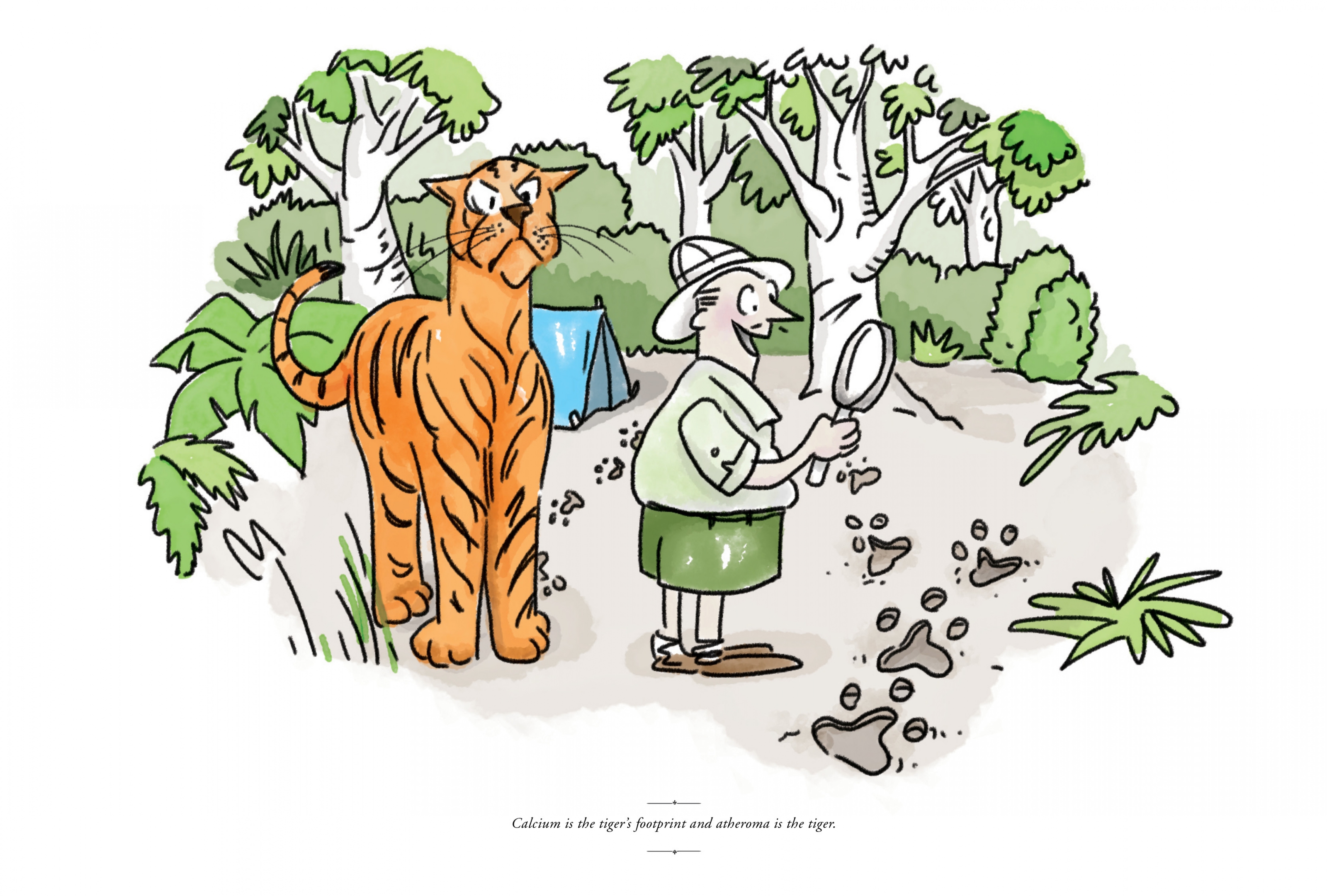 Warrick Bishop - Tiger illustration